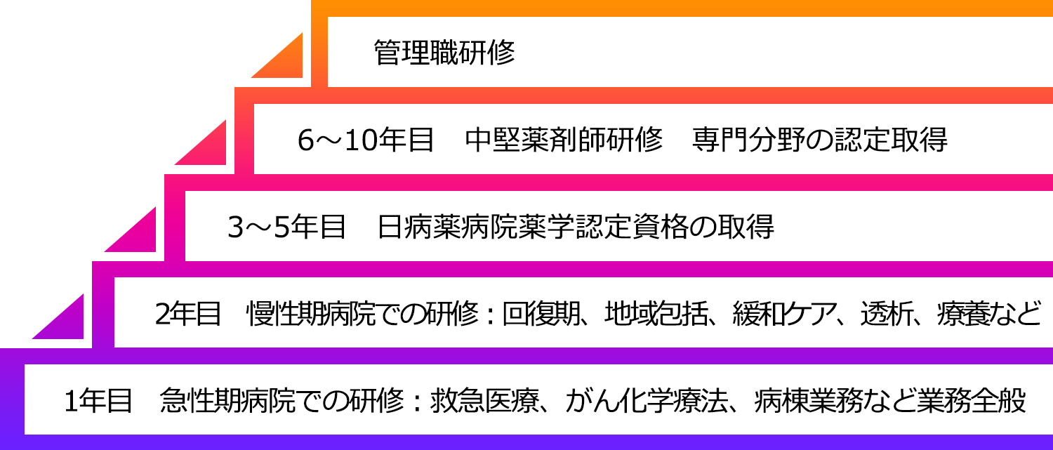 薬剤師の能力開発ラダー図