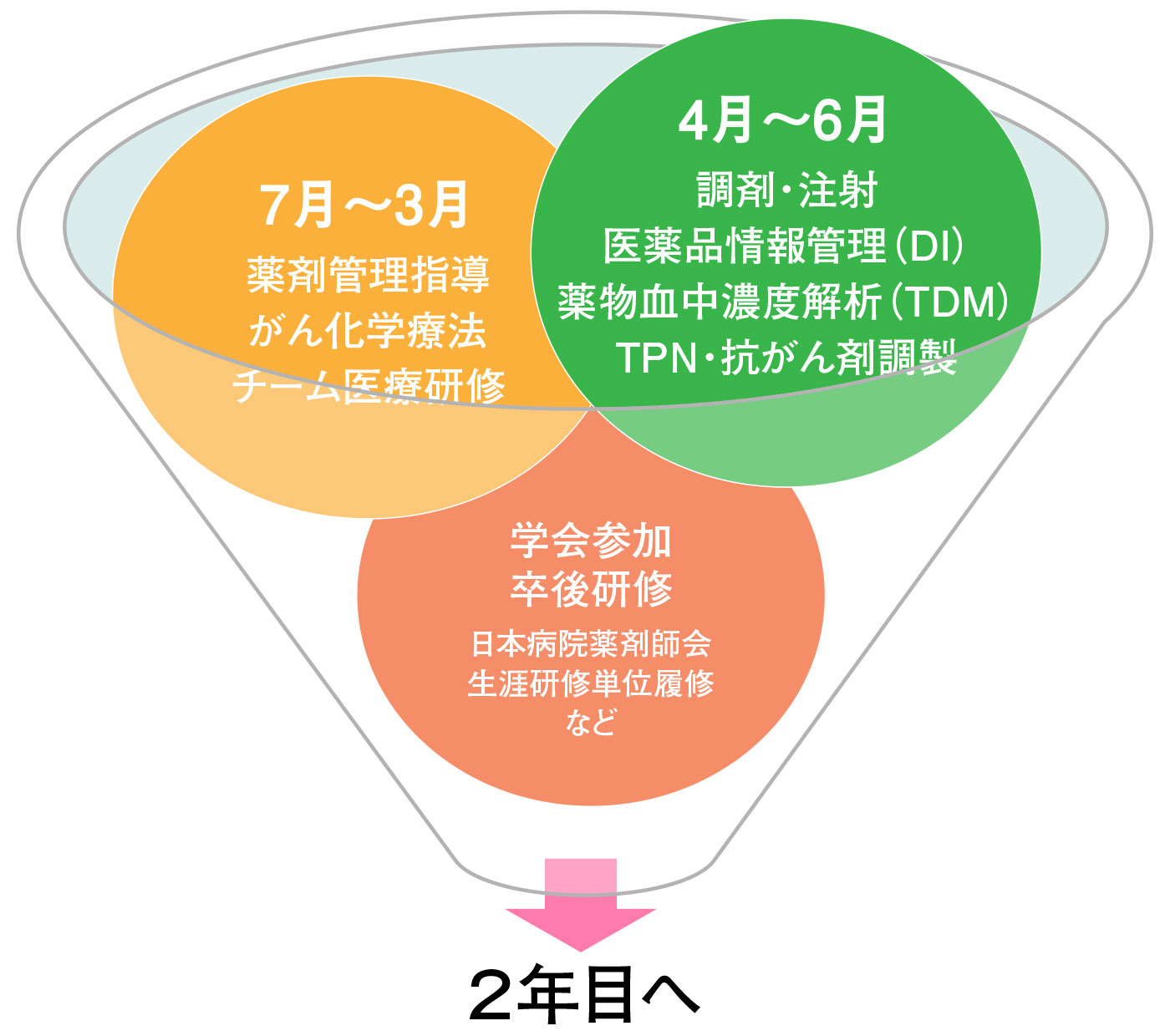 薬剤師新人教育スケジュール（1年目）～急性期病院での教育～